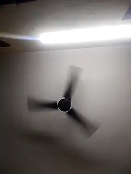 Devi-with-Ram online show from October 2025 04:34:02 AM