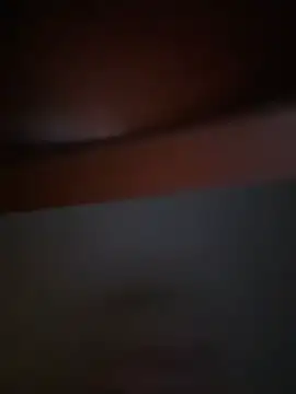 Michel huge online show from February 2026 05:45:01 AM