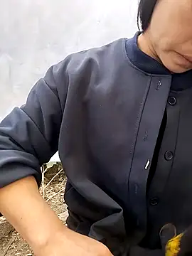 Tiyir597 online show from February 2026 08:31:01 AM