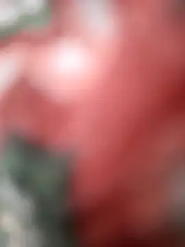 Snapshot of SexyBhabhi323 chatting on October 2025 08:12:01 AM SexyBhabhi323 online show from October 2025 08:12:01 AM