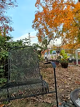 sizableunicorn7 online show from November 2025 10:32:02 PM