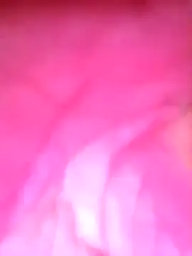 Juniorharo1982 online show from April 2026 08:21:02 AM