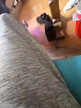 Snapshot of Fonse1860 chatting on October 2025 08:59:01 AM Fonse1860 online show from October 2025 08:59:01 AM