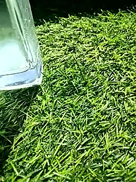 BlackhorseBBC online show from February 2026 06:31:01 AM