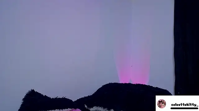 celestte evans 1 online show from March 2026 04:20:02 AM