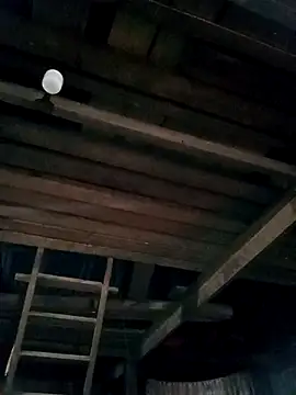 Snapshot of Mamapm20 chatting on September 2025 12:28:02 PM Mamapm20 online show from September 2025 12:28:02 PM