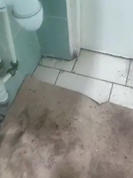 Snapshot of TrixieAndDaddy chatting on November 2025 06:14:01 AM TrixieAndDaddy online show from November 2025 06:14:01 AM