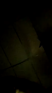 Bosssweet22cm online show from March 2026 12:14:01 AM