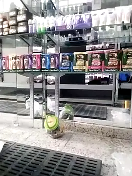 Katyuskka love online show from November 2025 04:51:02 PM