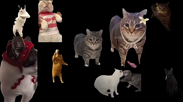 ch0wn m online show from October 2025 12:46:02 PM