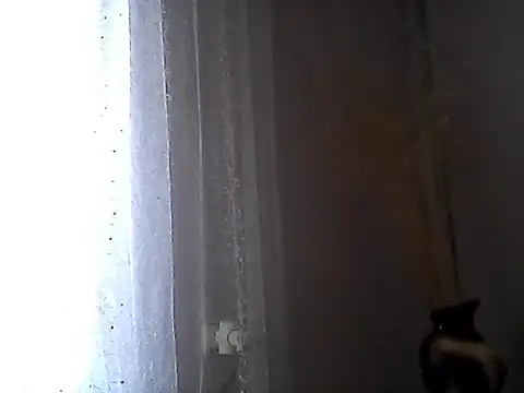 Snapshot of Littlecatme chatting on July 2026 07:23:02 AM Littlecatme online show from July 2026 07:23:02 AM