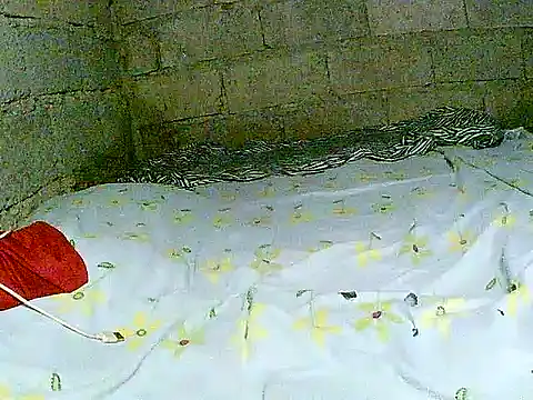 hotmom pinay online show from December 2025 02:05:02 AM