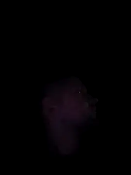 Mumuska online show from December 2025 10:52:01 PM