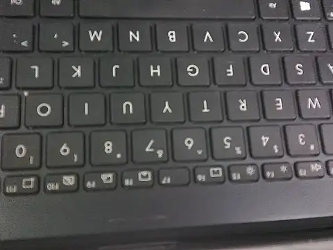 WetWildPussy online show from September 2025 12:35:01 AM