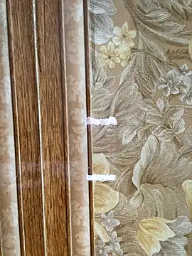 Julia-Elsa online show from November 2025 03:53:02 AM