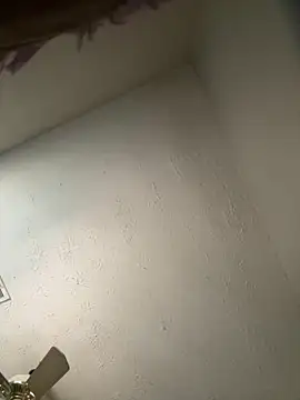 Snapshot of honestlychina chatting on October 2025 01:52:01 PM honestlychina online show from October 2025 01:52:01 PM