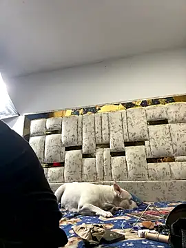 DayanaDG online show from January 2026 05:54:02 AM