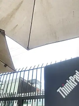 Sallem Pink online show from November 2025 11:22:01 AM