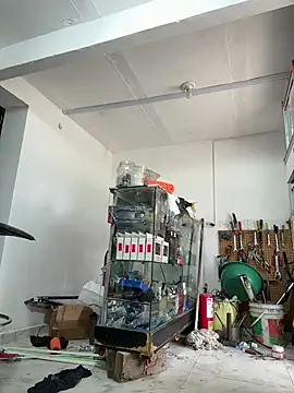 Terra-22cm online show from February 2026 02:36:01 PM