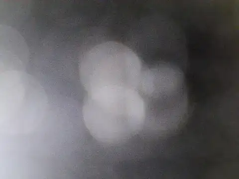 Asian PrettyAle online show from February 2026 01:39:02 AM