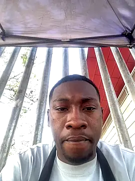 fore-17 online show from December 2025 08:49:02 PM