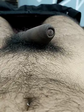 Snapshot of Bull54321 chatting on September 2025 04:47:01 AM Bull54321 online show from September 2025 04:47:01 AM