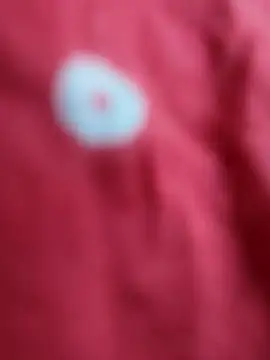 sana-5 online show from February 2026 10:22:02 AM