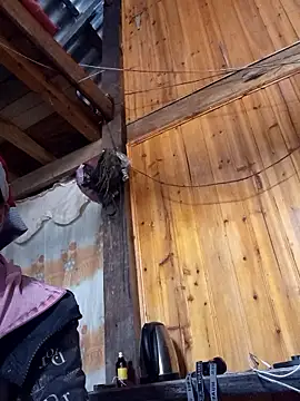 Snapshot of TinTin321 chatting on November 2025 05:41:01 AM TinTin321 online show from November 2025 05:41:01 AM