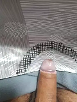 ratoncito 3 online show from November 2025 09:42:02 AM