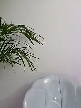 Ariana2017 online show from February 2026 10:24:02 PM