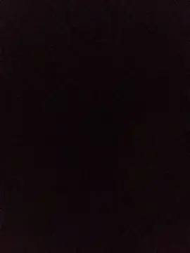 JajajaJavier2389 online show from June 2026 04:28:01 AM