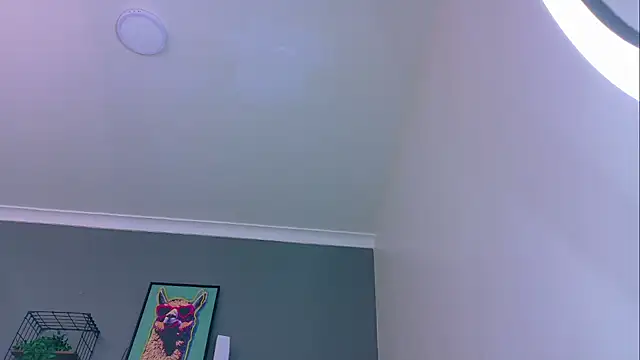 Snapshot of MrFox__ chatting on May 2026 08:29:01 PM MrFox online show from May 2026 08:29:01 PM