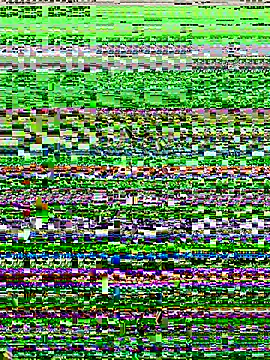 lynn9000 online show from November 2025 05:18:01 AM