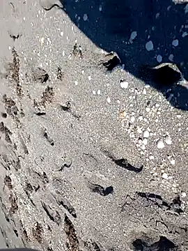 sarahkat86 online show from November 2025 06:28:01 PM