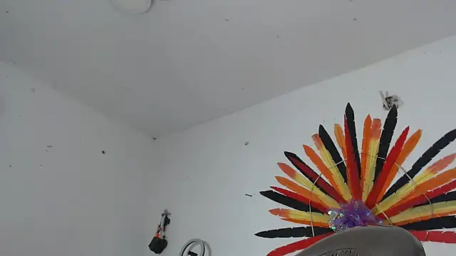 maggi hotsson online show from April 2026 04:52:02 AM