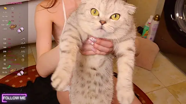 Angell Wild online show from November 2025 03:01:02 PM