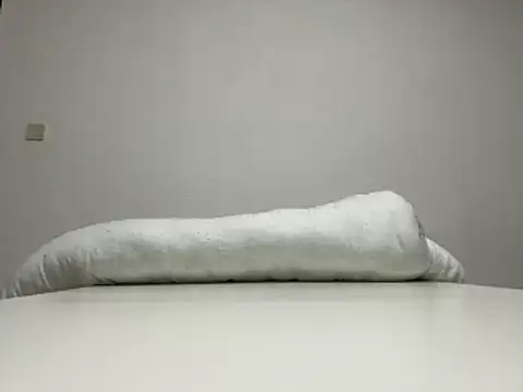 jporrado online show from January 2026 11:29:02 PM