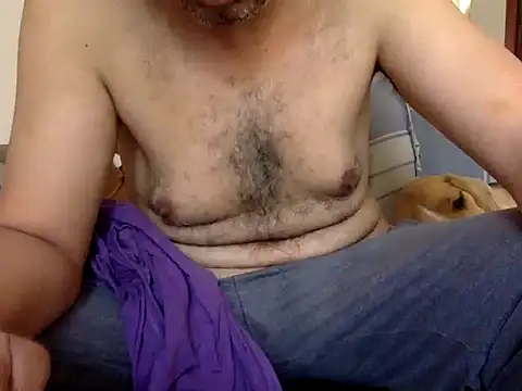 CaiBull online show from November 2025 08:57:01 AM