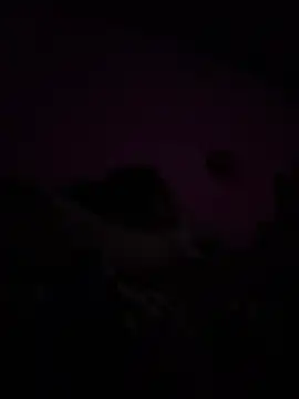 RandalHot online show from April 2026 09:04:01 AM