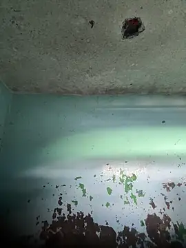 RandalHot online show from April 2026 06:04:02 PM