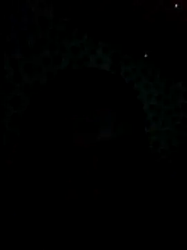 UntidyGuar online show from November 2025 03:16:02 AM