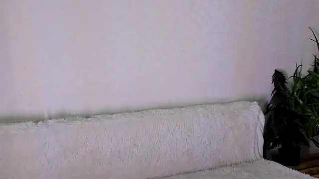 thief of hearts online show from November 2025 10:26:02 AM