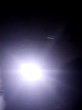 PhlegmySewerage online show from October 2025 11:38:01 PM