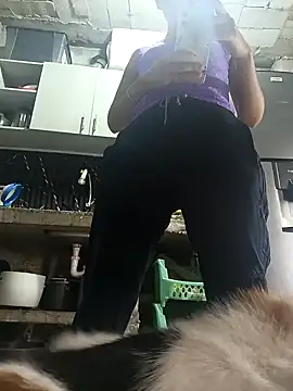 Aley 2025 online show from December 2025 03:31:01 PM