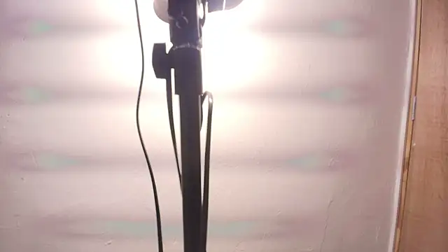 Terraelowen online show from February 2026 11:31:02 AM