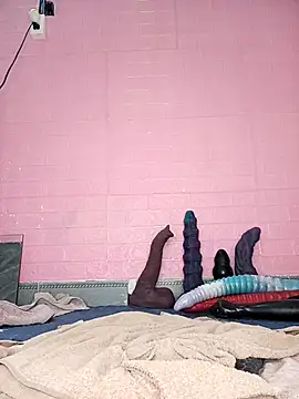 Rose 194 online show from November 2025 02:06:01 AM