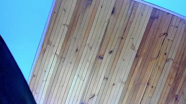 Snapshot of Angel_kanon chatting on February 2026 12:28:02 PM Angel kanon online show from February 2026 12:28:02 PM