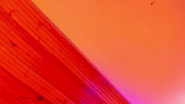 Snapshot of Angel_kanon chatting on March 2026 12:33:02 PM Angel kanon online show from March 2026 12:33:02 PM