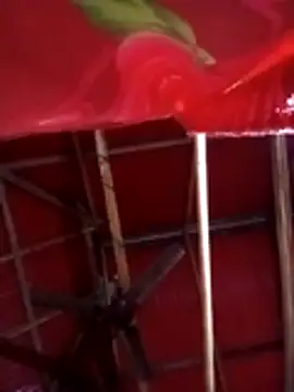 Snapshot of Johlrd chatting on November 2025 11:15:01 PM Johlrd online show from November 2025 11:15:01 PM