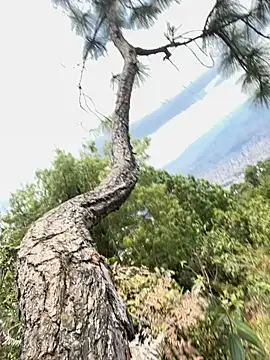 Alexis Spicter online show from September 2025 05:03:02 PM